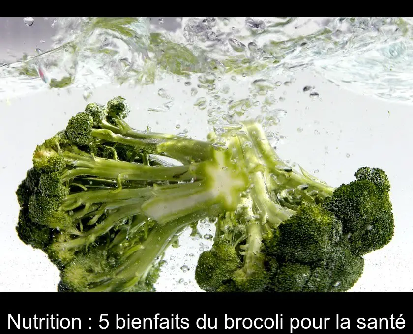 Nutrition : 5 bienfaits du brocoli pour la santé