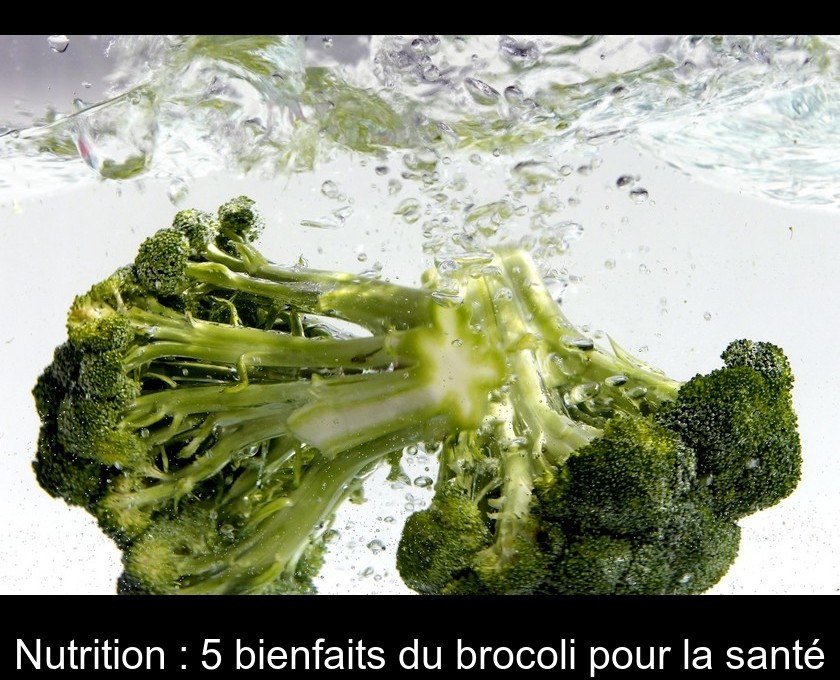 Nutrition : 5 bienfaits du brocoli pour la santé Nutrition : 5 bienfaits du brocoli pour la santé