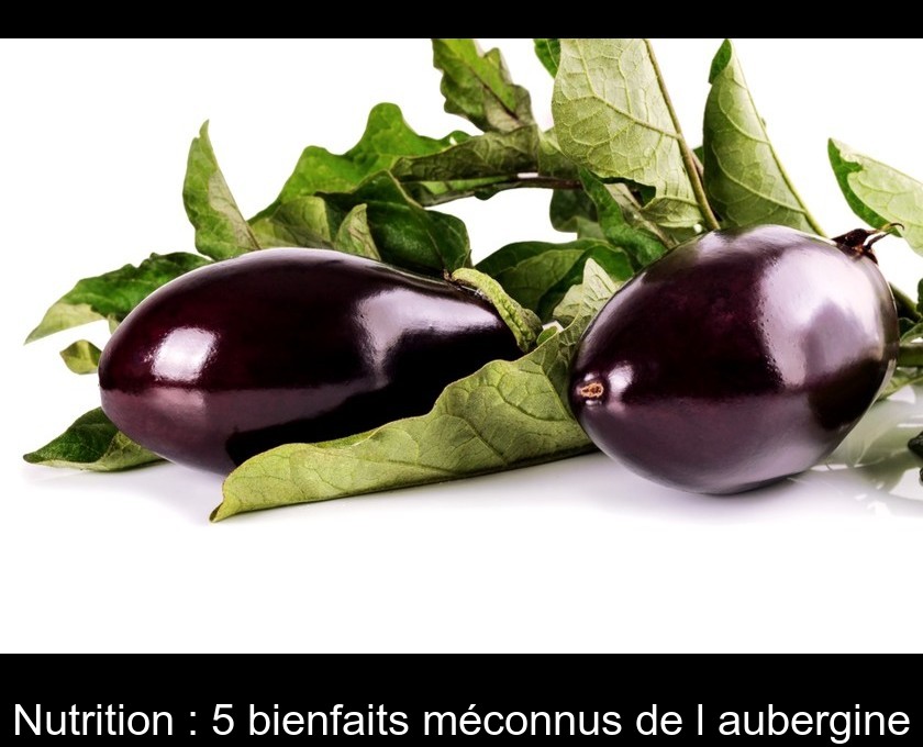 Nutrition : 5 bienfaits méconnus de l'aubergine Nutrition : 5 bienfaits méconnus de l'aubergine