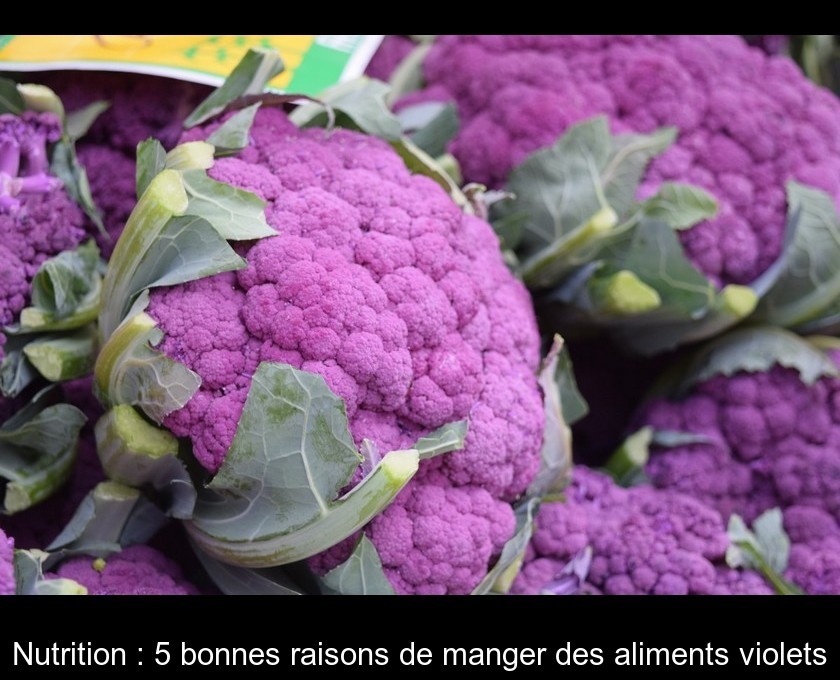 Nutrition : 5 bonnes raisons de manger des aliments violets Nutrition : 5 bonnes raisons de manger des aliments violets