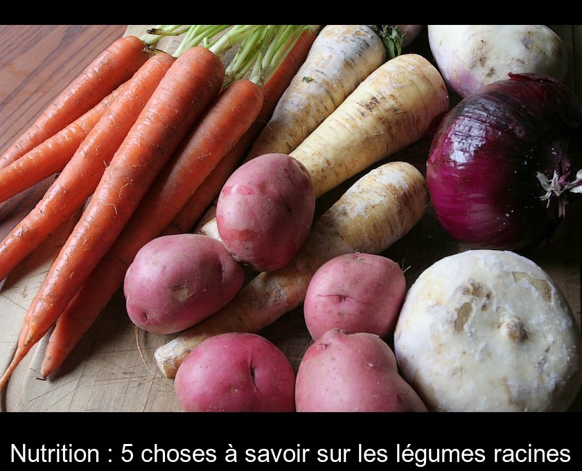 Nutrition : 5 choses à savoir sur les légumes racines Nutrition : 5 choses à savoir sur les légumes racines