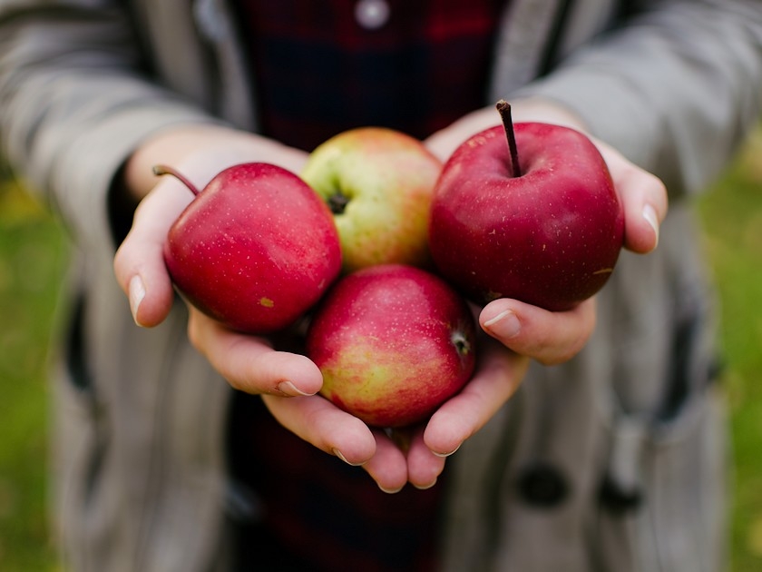 Nutrition : 6 bienfaits de la pomme pour la santé Nutrition : 6 bienfaits de la pomme pour la santé