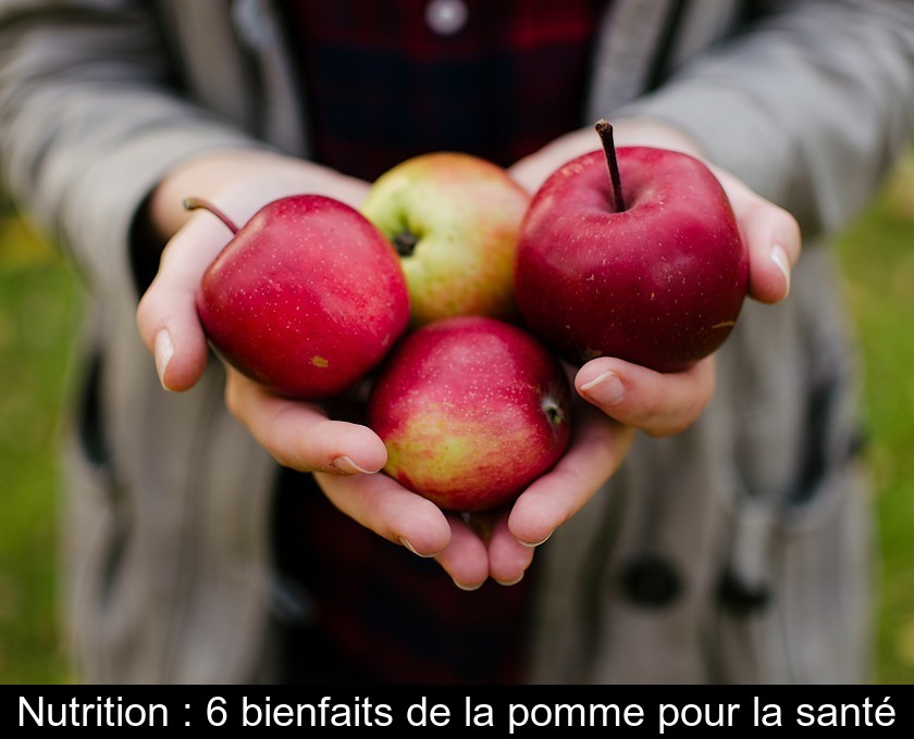 Nutrition : 6 bienfaits de la pomme pour la santé Nutrition : 6 bienfaits de la pomme pour la santé