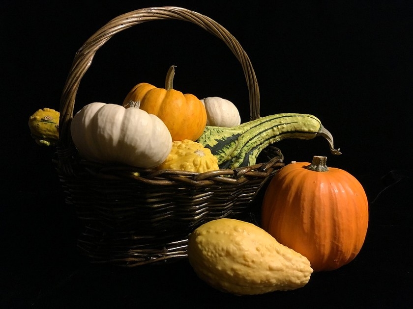 Nutrition : à chaque courge ses vertus ! Nutrition : à chaque courge ses vertus !