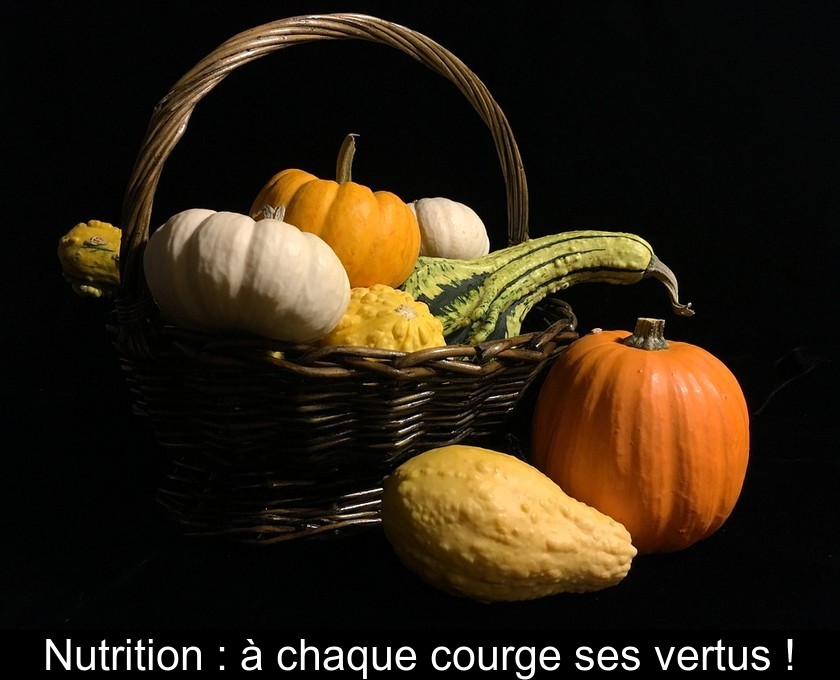 Nutrition : à chaque courge ses vertus ! Nutrition : à chaque courge ses vertus !