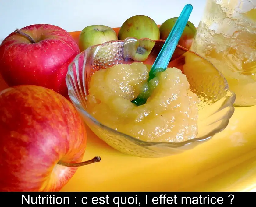 Nutrition : c'est quoi, l'effet matrice ?