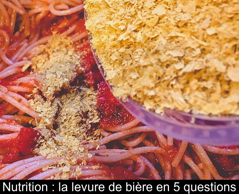 Nutrition : la levure de bière en 5 questions Nutrition : la levure de bière en 5 questions