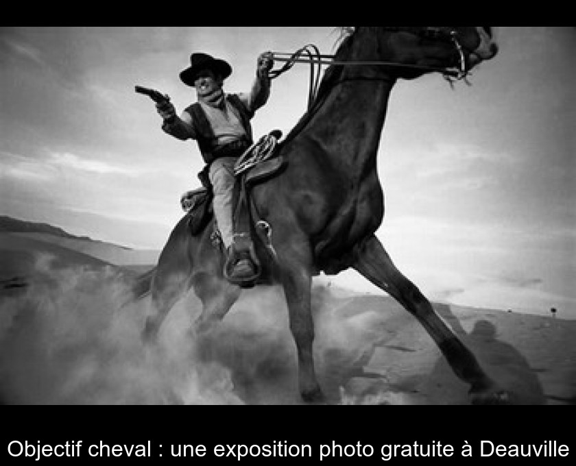 Objectif cheval : une exposition photo gratuite à Deauville Objectif cheval : une exposition photo gratuite à Deauville