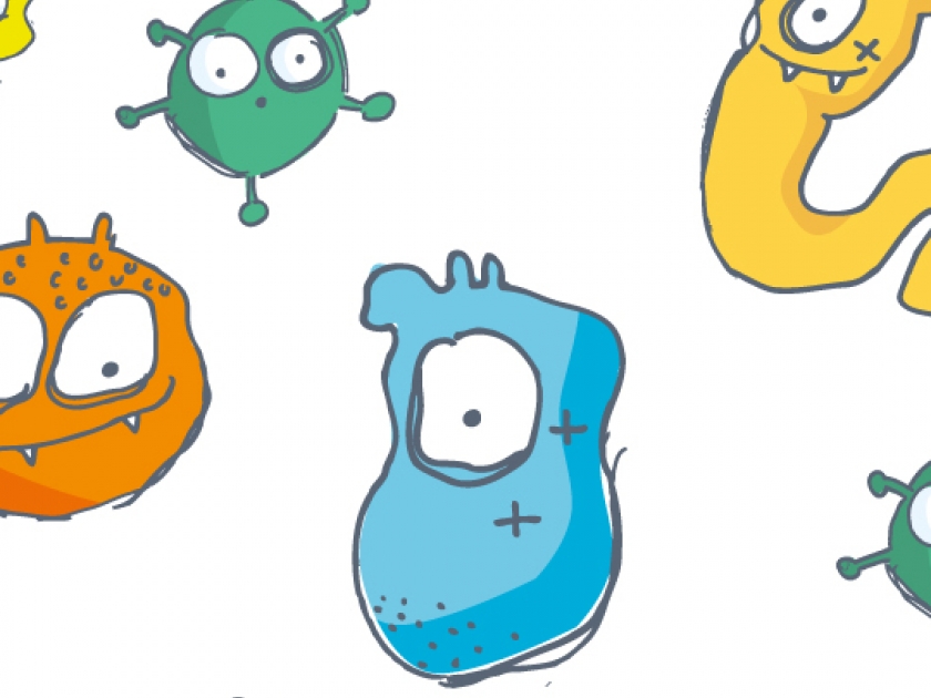 Objets du quotidien : attention aux microbes Objets du quotidien : attention aux microbes
