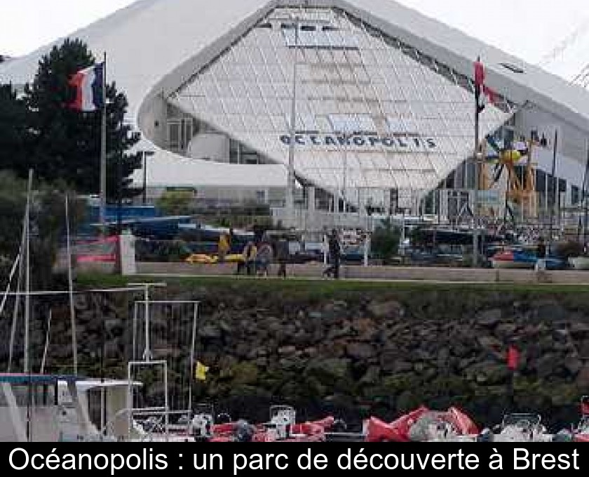 Océanopolis : un parc de découverte à Brest