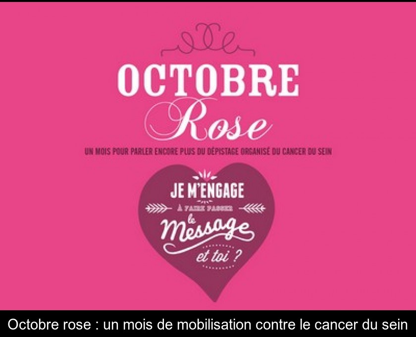 Octobre rose : un mois de mobilisation contre le cancer du sein Octobre rose : un mois de mobilisation contre le cancer du sein