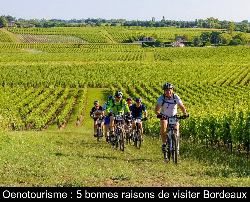 Oenotourisme : 5 bonnes raisons de visiter Bordeaux Oenotourisme : 5 bonnes raisons de visiter Bordeaux