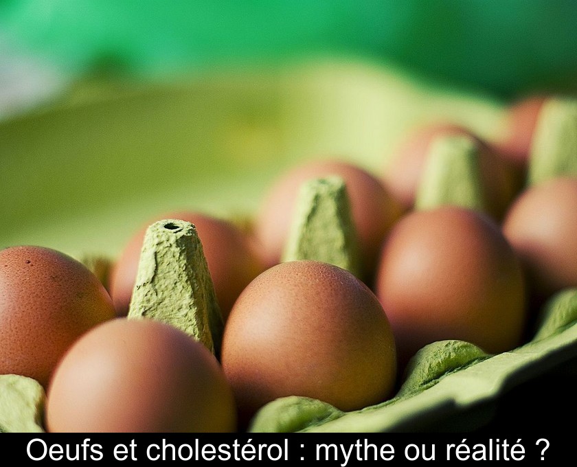 Oeufs et cholestérol : mythe ou réalité ? Oeufs et cholestérol : mythe ou réalité ?