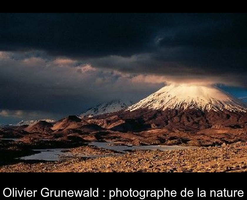 Olivier Grunewald : photographe de la nature Olivier Grunewald : photographe de la nature