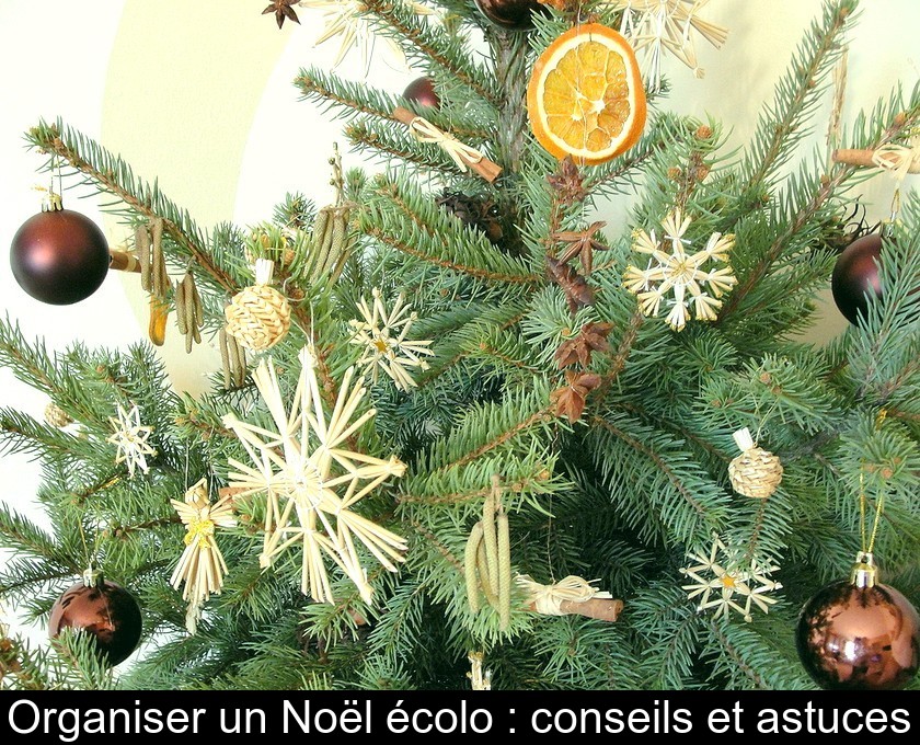 Organiser un Noël écolo : conseils et astuces Organiser un Noël écolo : conseils et astuces