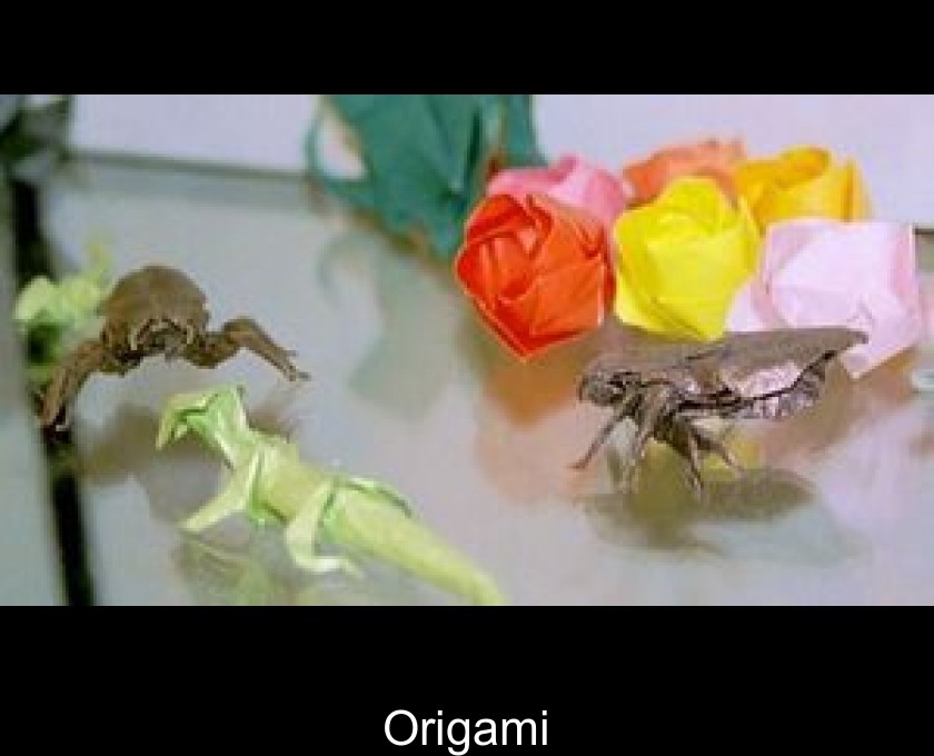 Origami Origami