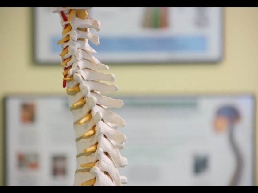 Ostéopathie ou chiropraxie : que choisir ? Ostéopathie ou chiropraxie : que choisir ?