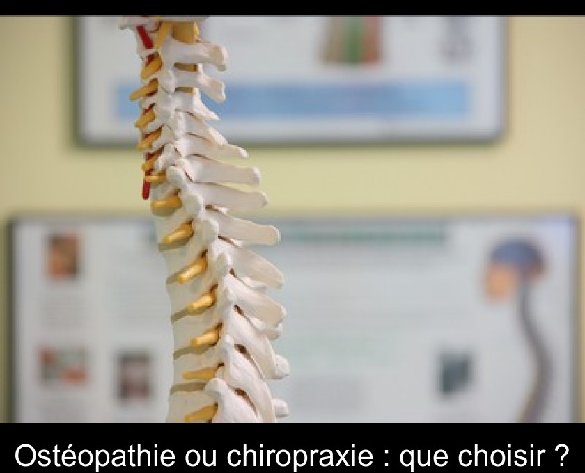 Ostéopathie ou chiropraxie : que choisir ? Ostéopathie ou chiropraxie : que choisir ?
