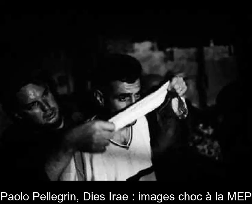 Paolo Pellegrin, Dies Irae : images choc à la MEP