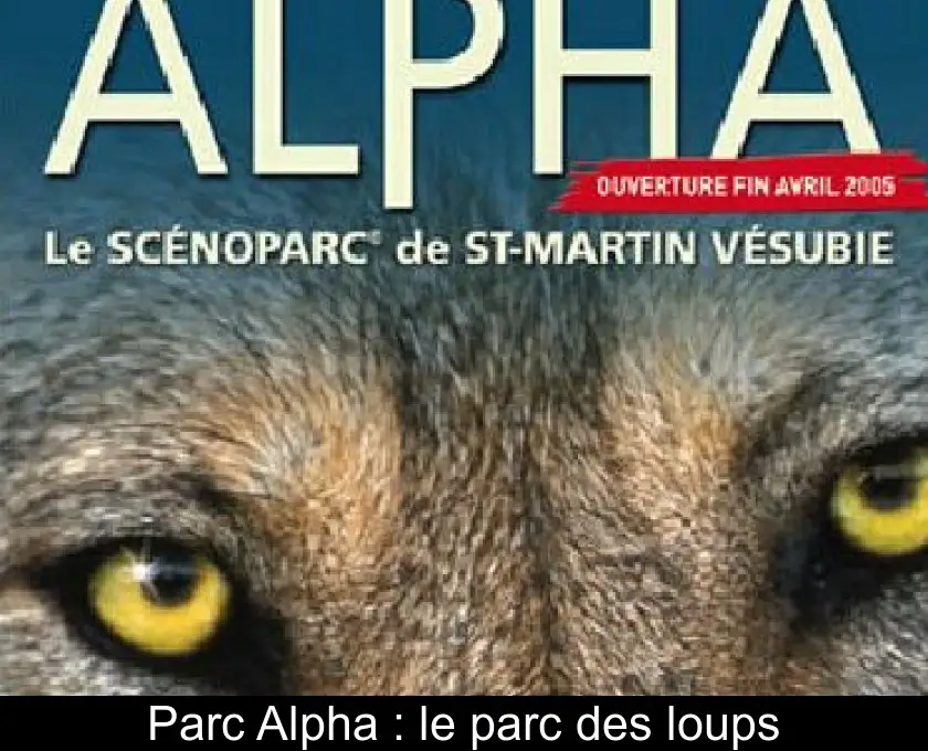 Parc Alpha : le parc des loups
