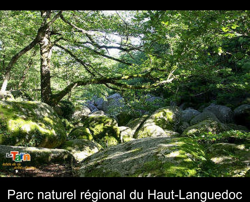 Parc naturel régional du Haut-Languedoc Parc naturel régional du Haut-Languedoc