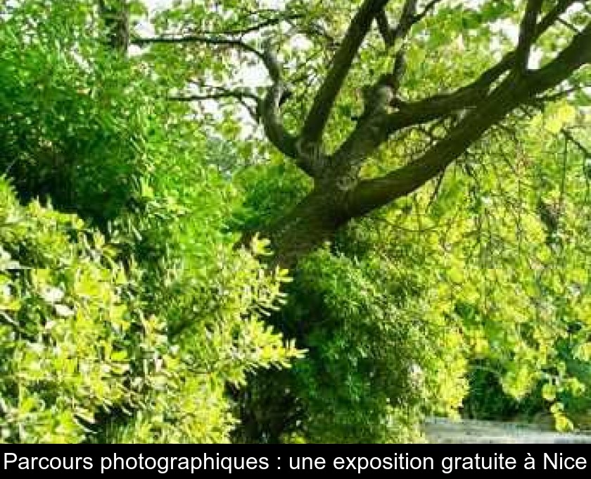 Parcours photographiques : une exposition gratuite à Nice