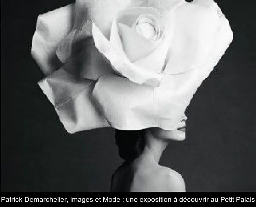 Patrick Demarchelier, Images et Mode : une exposition à découvrir au Petit Palais