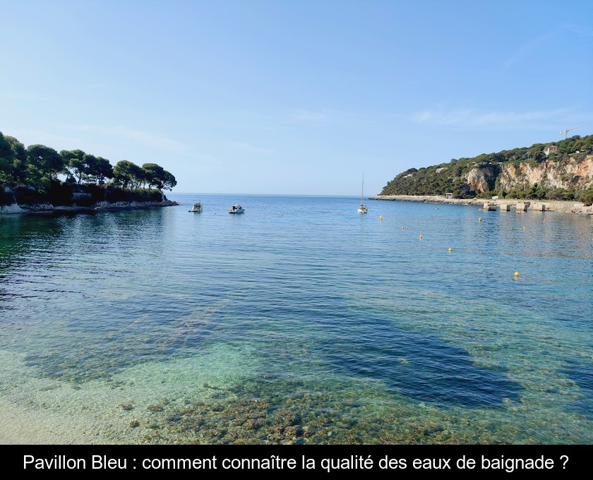Pavillon Bleu : comment connaître la qualité des eaux de baignade ? Pavillon Bleu : comment connaître la qualité des eaux de baignade ?