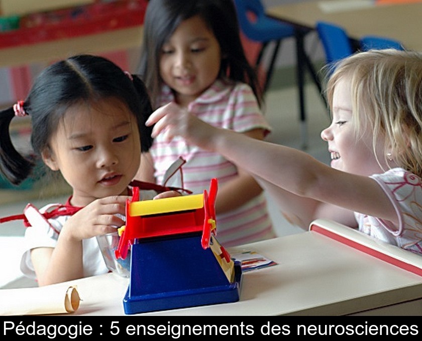 Pédagogie : 5 enseignements des neurosciences