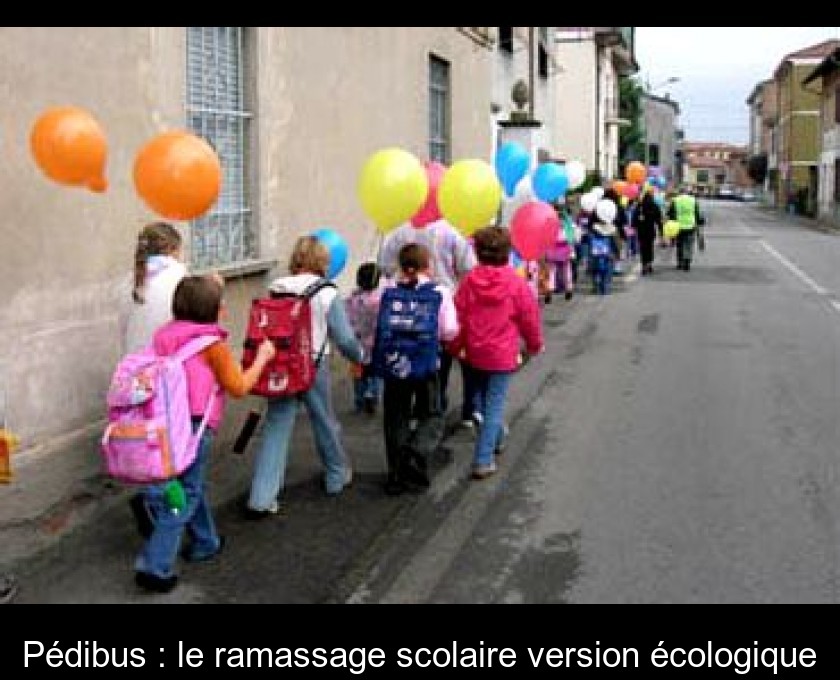 Pédibus : le ramassage scolaire version écologique Pédibus : le ramassage scolaire version écologique