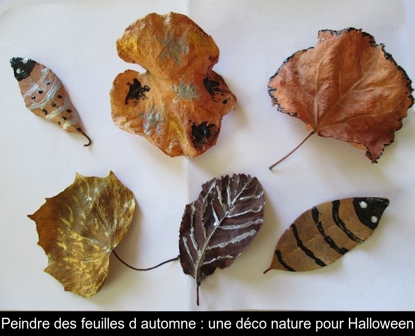 Peindre des feuilles d'automne : une déco nature pour Halloween Peindre des feuilles d'automne : une déco nature pour Halloween
