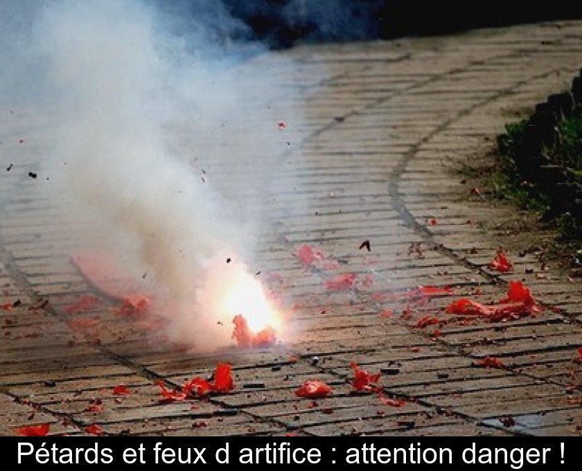 Les feux d'artifice mettent les chats en pétard