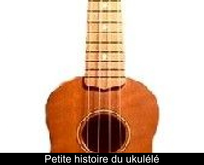 Petite histoire du ukulélé Petite histoire du ukulélé