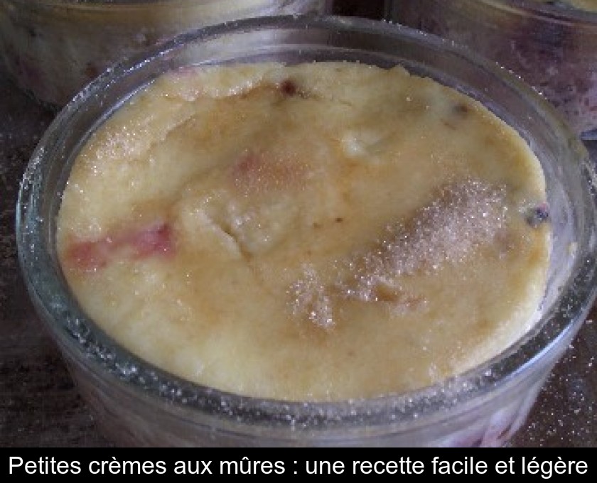 Petites crèmes aux mûres : une recette facile et légère Petites crèmes aux mûres : une recette facile et légère