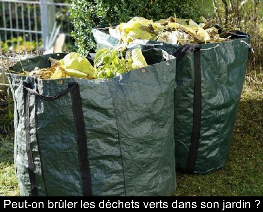 Peut-on brûler les déchets verts dans son jardin ? Peut-on brûler les déchets verts dans son jardin ?