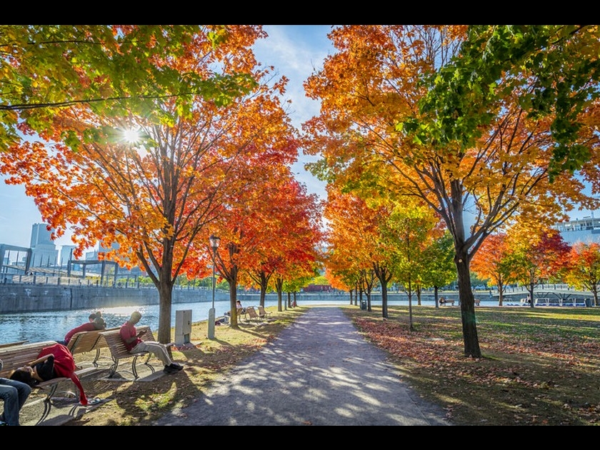 Photo : 5 conseils pour photographier l'automne Photo : 5 conseils pour photographier l'automne
