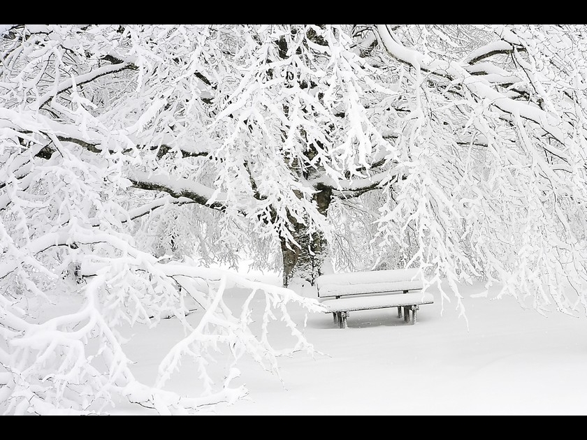 Photo : 5 conseils pour photographier la neige Photo : 5 conseils pour photographier la neige