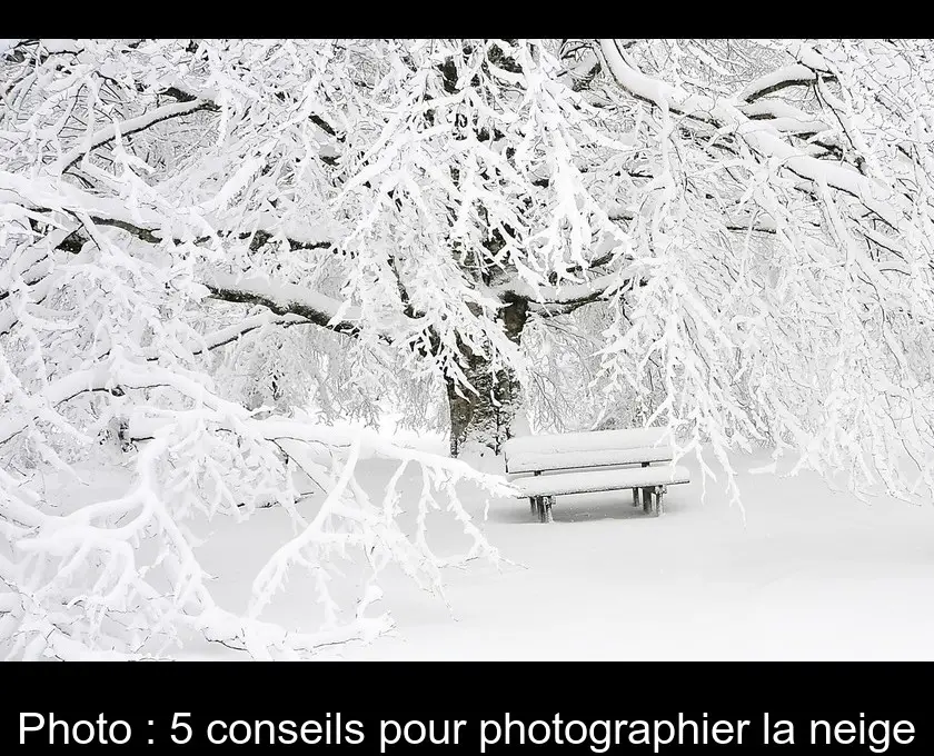 Photo : 5 conseils pour photographier la neige