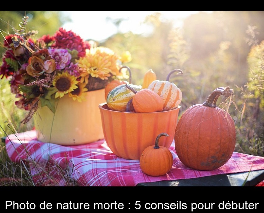Photo de nature morte : 5 conseils pour débuter Photo de nature morte : 5 conseils pour débuter