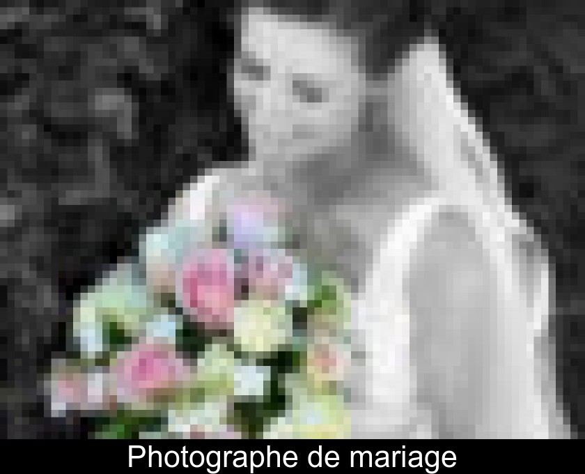 Photographe de mariage Photographe de mariage