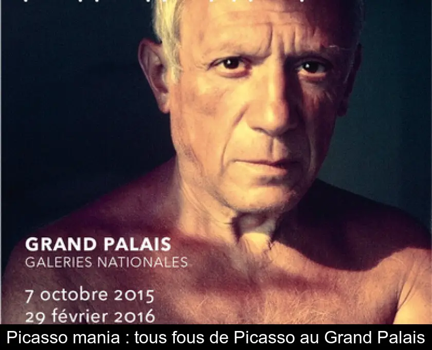 Picasso mania : tous fous de Picasso au Grand Palais