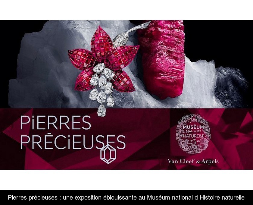 Pierres précieuses : une exposition éblouissante au Muséum national d'Histoire naturelle