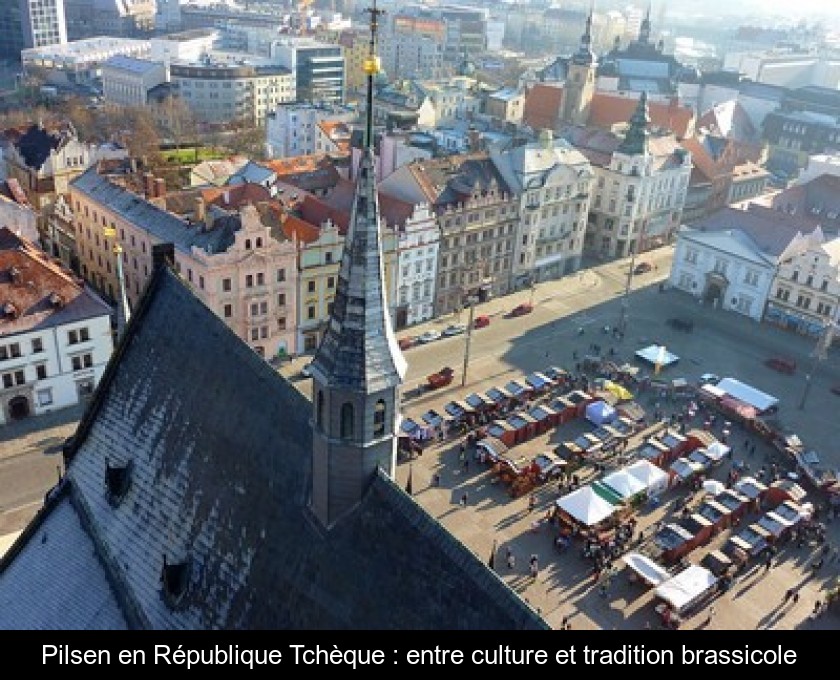 Pilsen en République Tchèque : entre culture et tradition brassicole