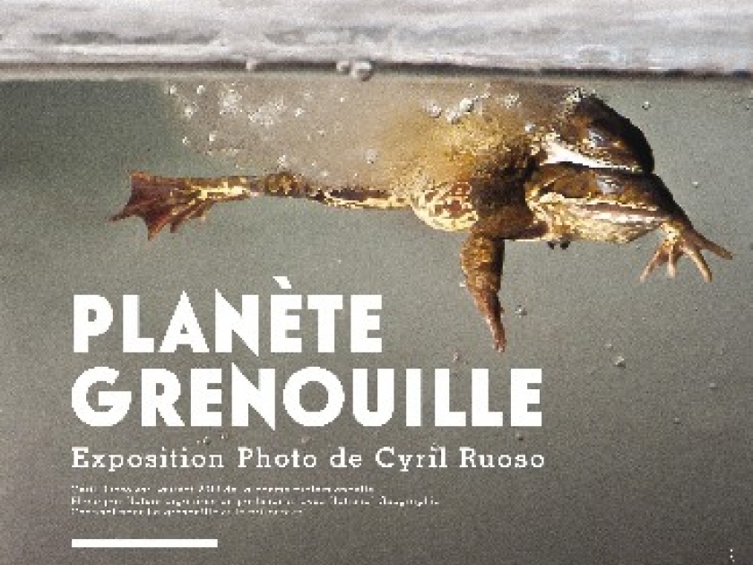 Planète Grenouille : des photographies de Cyril Ruoso au Jardin des Plantes Planète Grenouille : des photographies de Cyril Ruoso au Jardin des Plantes