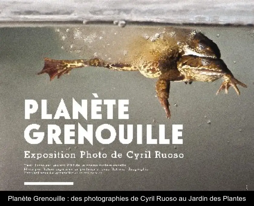 Planète Grenouille : des photographies de Cyril Ruoso au Jardin des Plantes