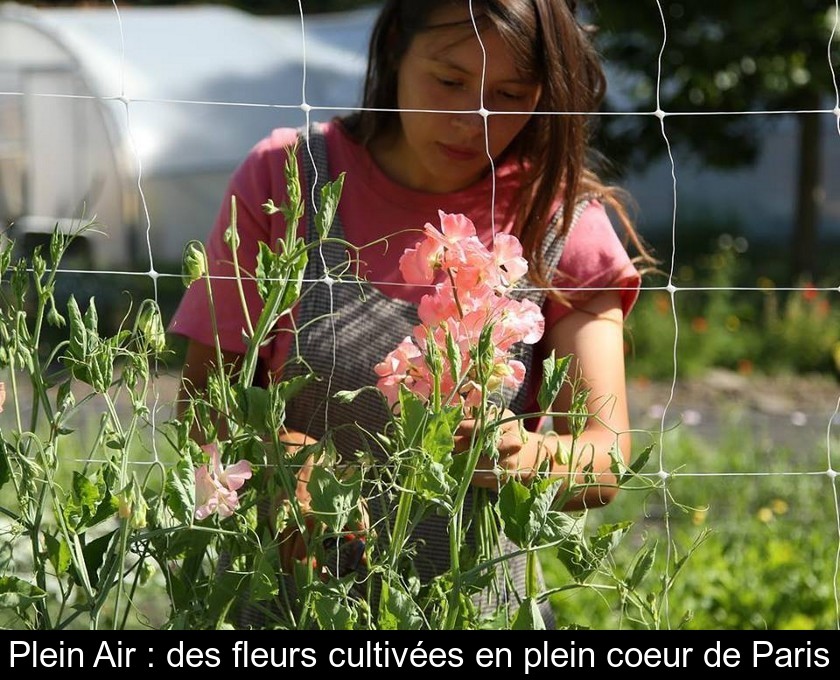 Plein Air : des fleurs cultivées en plein coeur de Paris Plein Air : des fleurs cultivées en plein coeur de Paris