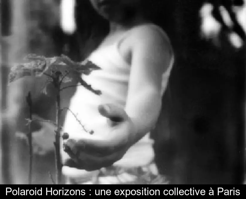 Polaroid Horizons : une exposition collective à Paris