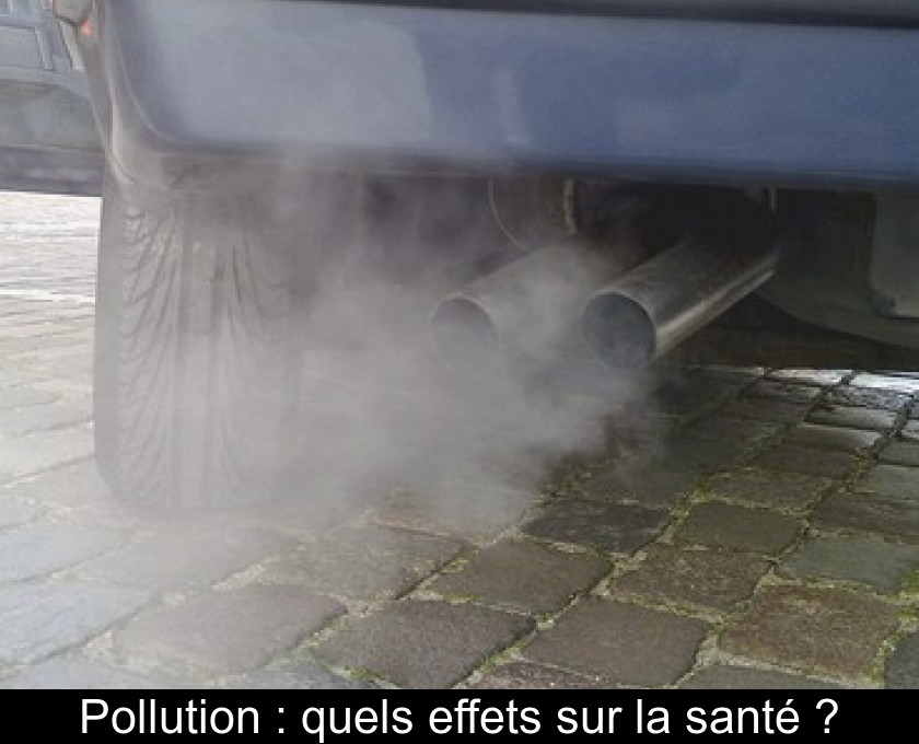 Pollution : quels effets sur la santé ? Pollution : quels effets sur la santé ?