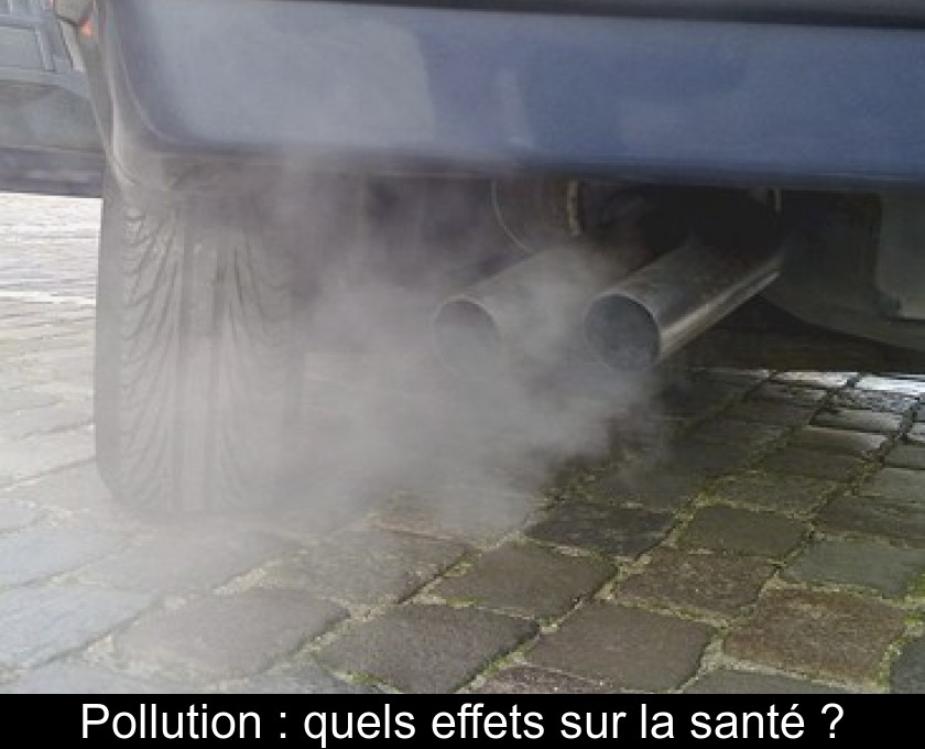 Pollution : quels effets sur la santé ?