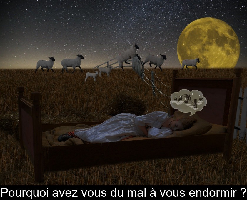 Pourquoi avez vous du mal à vous endormir ? Pourquoi avez vous du mal à vous endormir ?